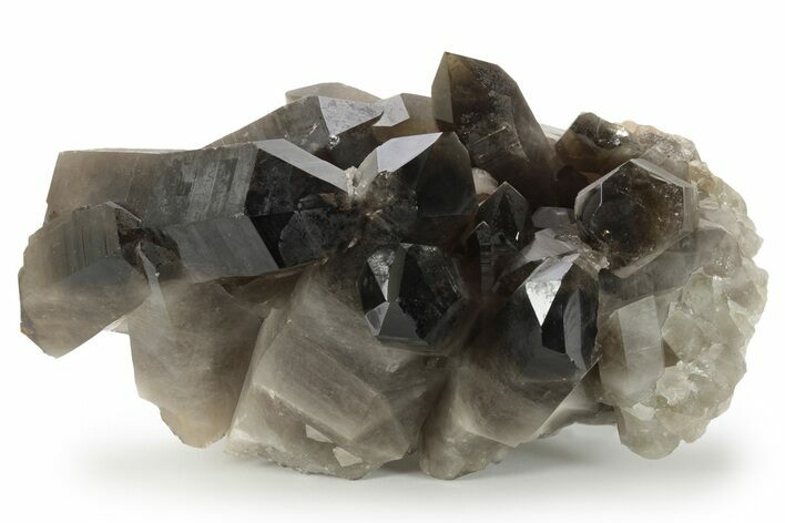 Wide, Natural Smoky Quartz Cluster - Brazil #229512